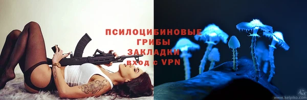 не бодяженный Алзамай
