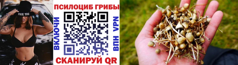 Галлюциногенные грибы мицелий Октябрьский